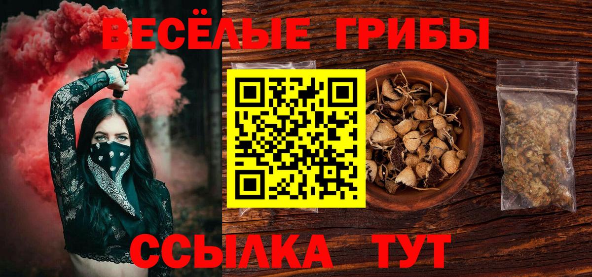 Галлюциногенные грибы прущие грибы  Вход с VPN  Ртищево  Псилоцибиновые грибы MAGIC MUSHROOMS 